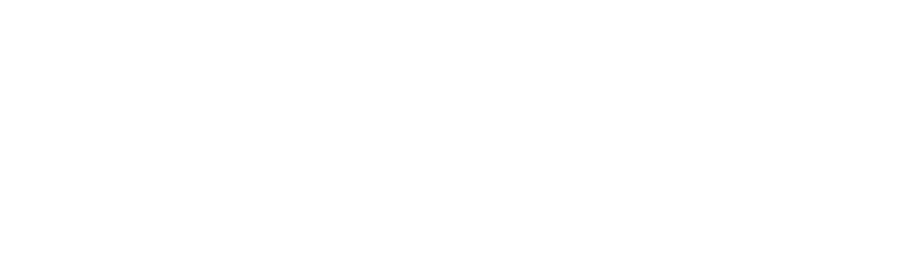 Tuzzaro dsg